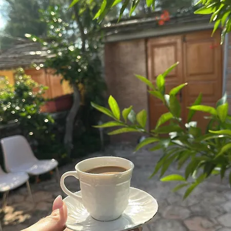 Adams Villa